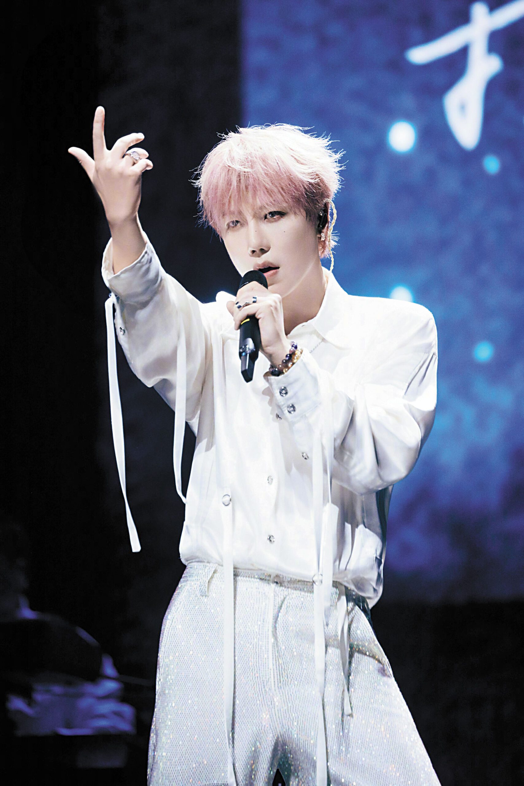 劉維常以歌手身分活動。網上圖片