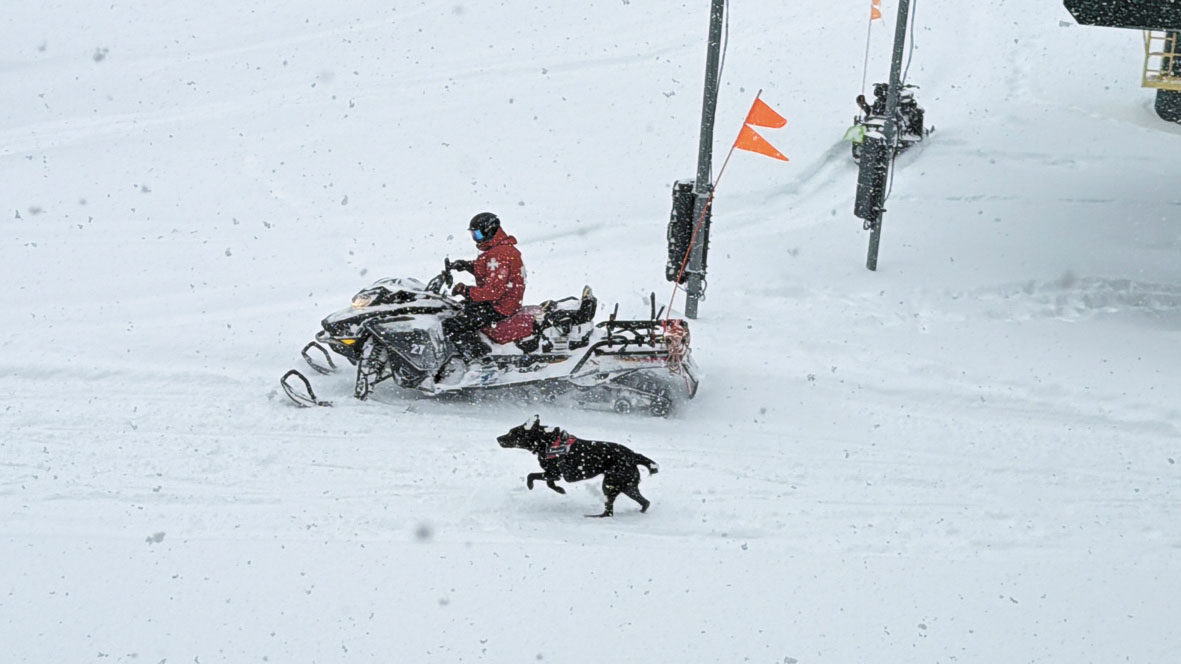 滑雪場配備雪地巡邏車和狗隻，一旦有意外即出動上山搜救。本報記者攝