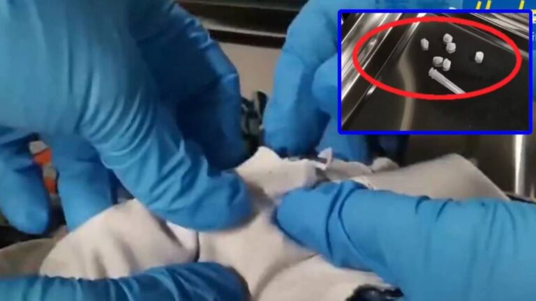 西九龍站驚現毒男！眼神飄忽底褲藏毒 海關搜出1.7克海洛英