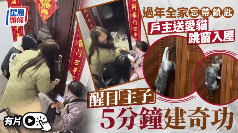 除夕夜全家被鎖門外徬徨無助 醒目貓主子5分鐘施展開門神技救全家｜有片