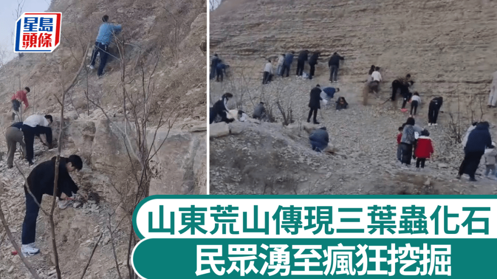 【瘋狂挖寶】山東荒山驚現三葉蟲化石？民眾蜂擁挖掘 當局急封山：再挖就塌！