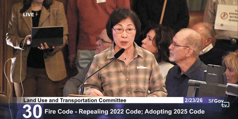 華裔退休法官鄧孟詩在聽證會上發言，呼籲重新評估高層住宅灑水改造令。會議截圖