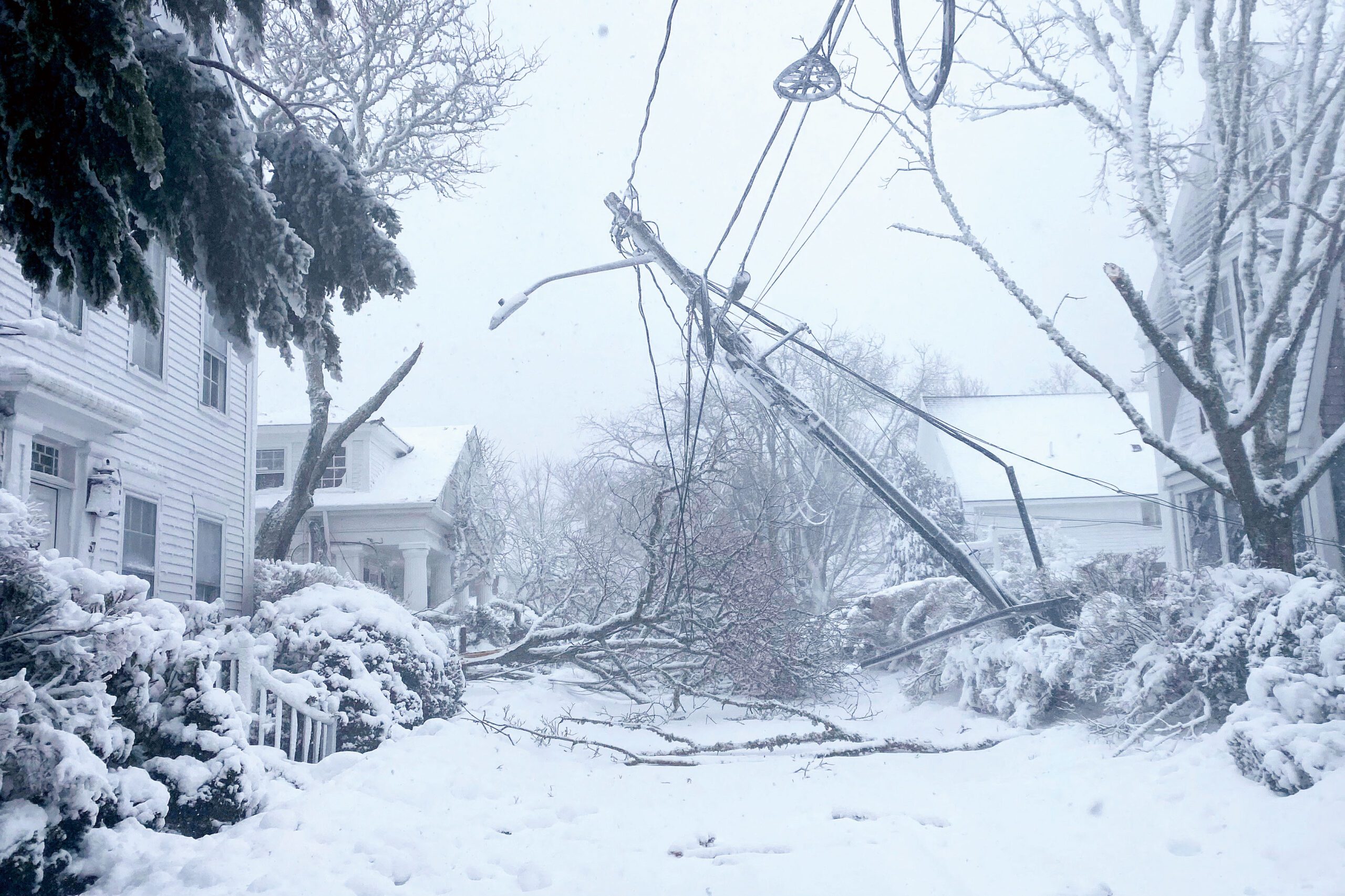 麻省積雪覆蓋地面，一棵倒下的樹木扯斷電線。路透社