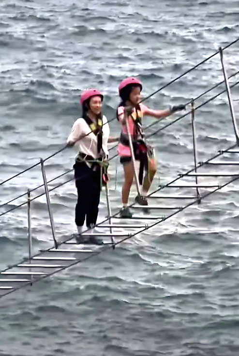 醒醒身穿粉裙，活潑靈動。網上圖片