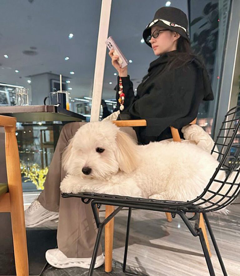 劉亦菲曬出她和狗狗「哈哈」的室內合照。網上圖片