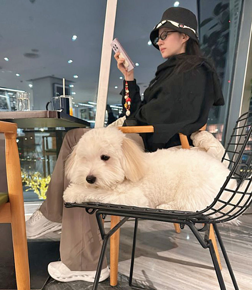 劉亦菲曬出她和狗狗「哈哈」的室內合照。網上圖片