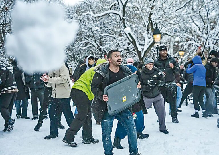 華盛頓廣場公園的「雪球襲警」事件引發爭論。