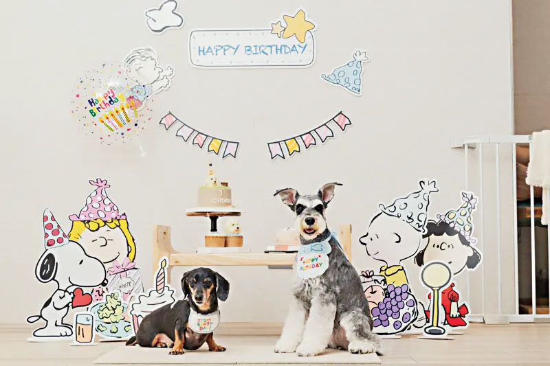 潘慧如自己也養寵物。網上圖片 .c3/c4 潘慧如早前為布置寵物館花費了許多精力。網上圖片