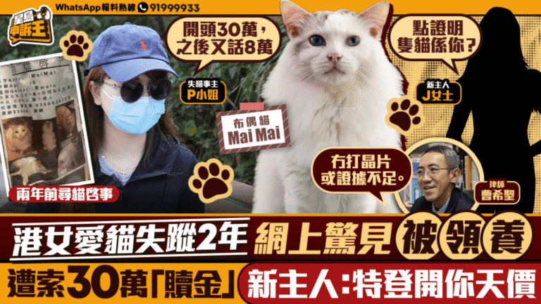 愛貓失蹤兩年後尋獲 新飼主索高額費用引發爭議