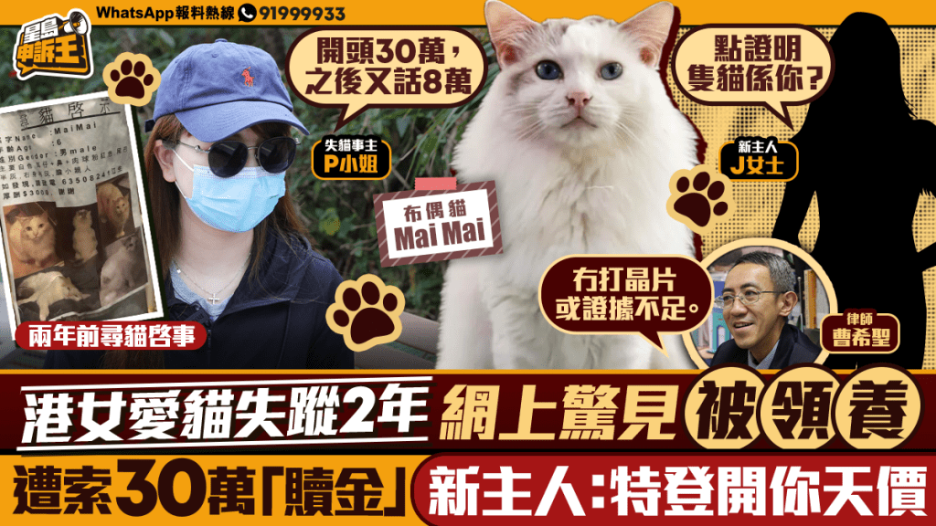 愛貓失蹤兩年後尋獲 新飼主索高額費用引發爭議