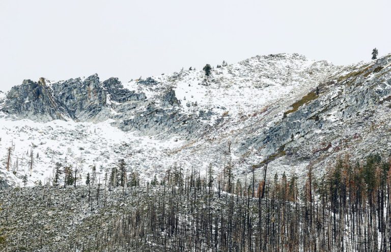 菲臘測量站目前積雪量為每年同日平均值的47%。加州水資源局