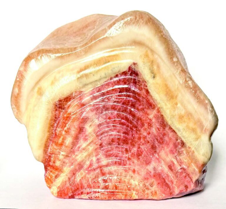 2026 三藩市新春街會星島日報聯合美中文化促進會& 華人錢幣學會 熱鬧慶新年