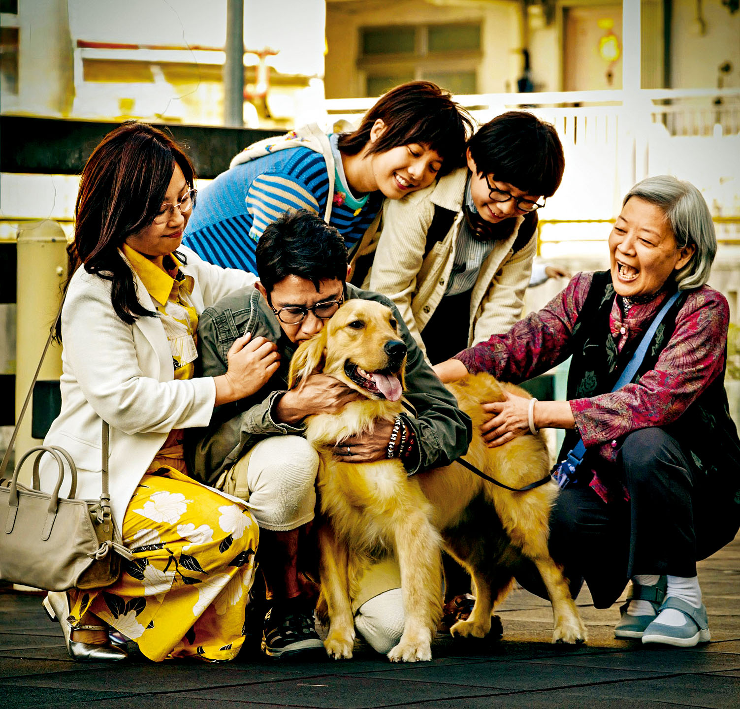 一家人為了嫲嫲的發達夢，出盡法寶搏命圓謊。