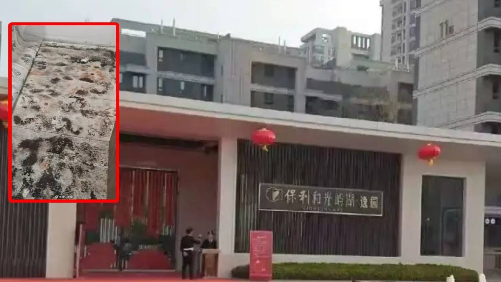 保利新盤淪「發霉屋」！鄭州百萬精裝房地板底長滿黑斑，幼童染菌致肺炎