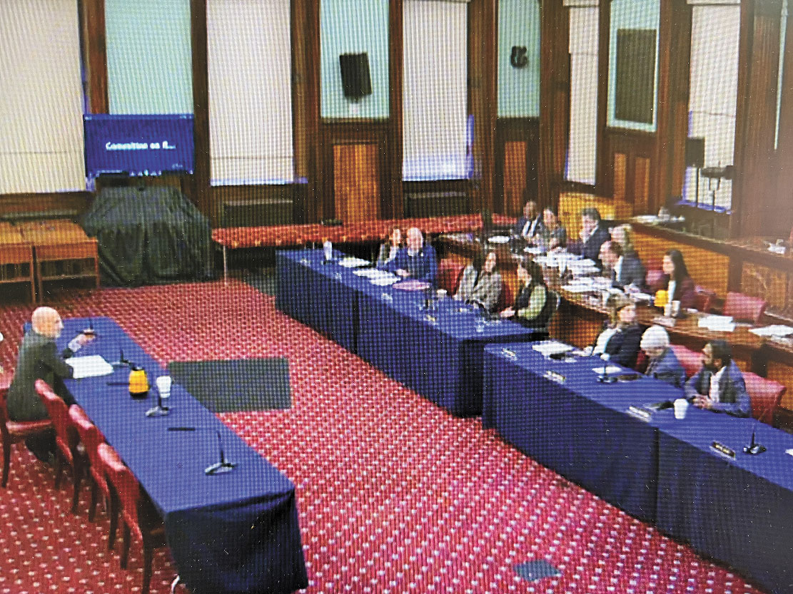 紐約市議會昨就市長馬姆達尼提名班克斯（Steven Banks）出任紐約市法律顧問一職舉行聽證會。