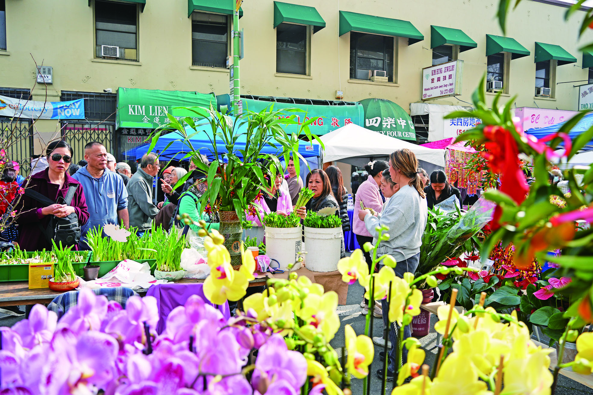 賀年鮮花熱賣。記者黃偉江攝