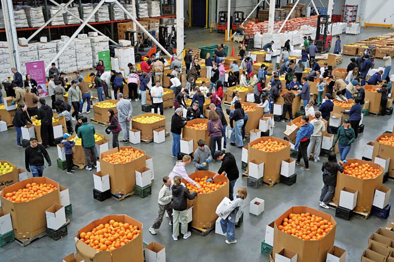 上午第一批參加水果分揀、裝箱的志願者工作情況。記者黃偉江攝