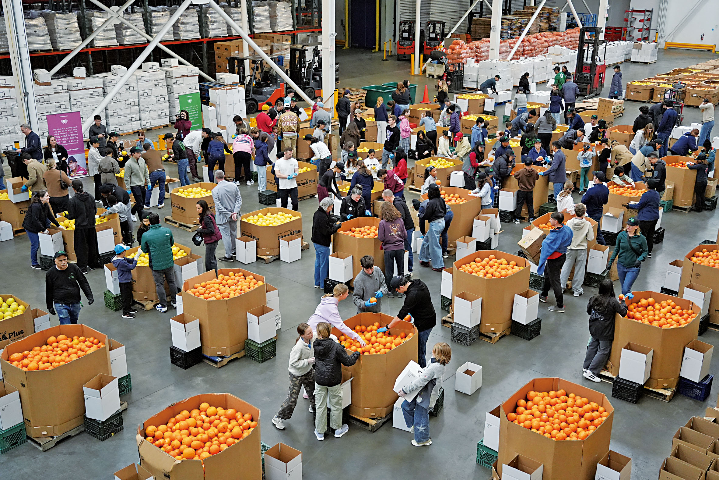 上午第一批參加水果分揀、裝箱的志願者工作情況。記者黃偉江攝