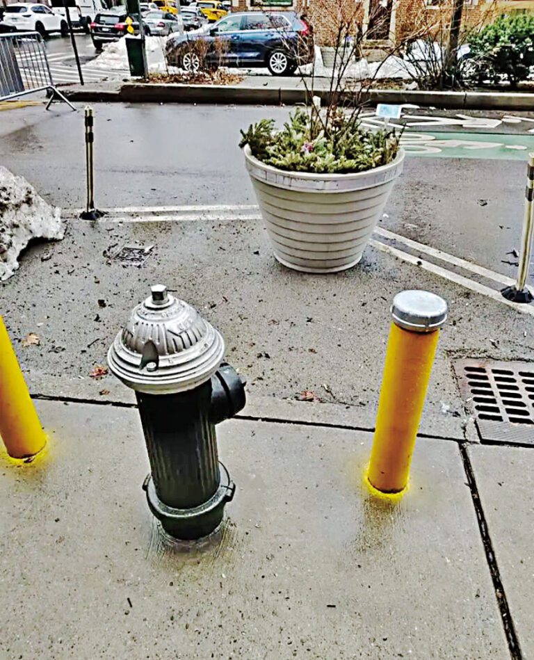 皇后區街道設置巨型花箱，以防止消防栓前非法泊車。 亞里奧拉辦公室圖片