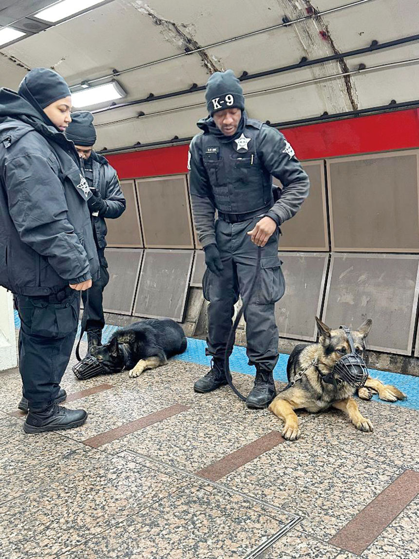CTA在地鐵站安排警員與警犬保護乘客,至少讓民眾多了一份安全的感覺。 梁敏育攝
