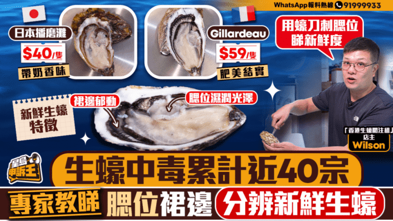 生蠔安全食用指南：專家傳授三招挑選新鮮生蠔及產地風味解析