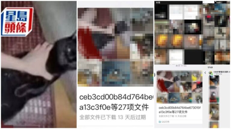 14歲中學生涉網上發佈虐貓片段 獲准保釋候查