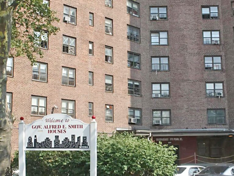 下東城史密夫政府樓很多華人居民用「第8條住房券」（Section 8）是美國聯邦政府的住房補助計畫。