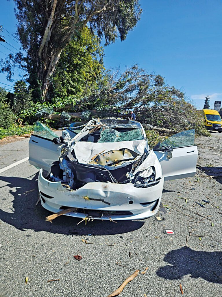 101號公路樹倒壓毀兩輛特斯拉