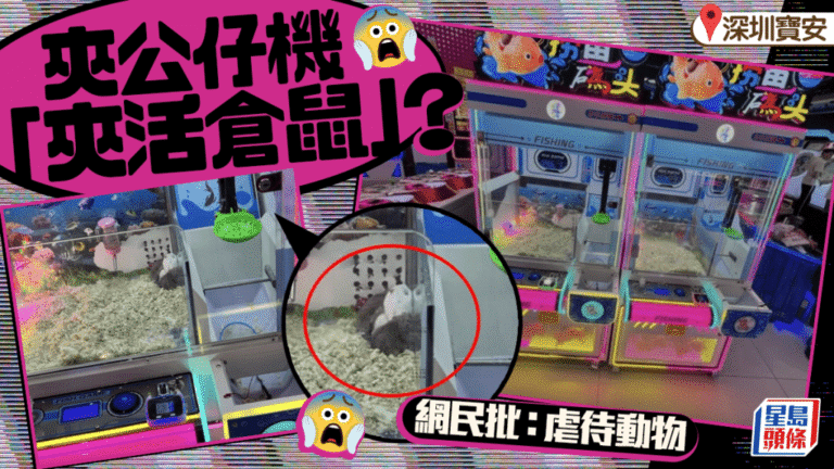深圳電玩城以活倉鼠作夾公仔機獎品 被指涉虐待動物