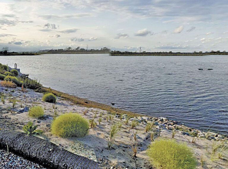 圖為牙買加灣野生動物保護區。 圖片來源：谷歌地圖