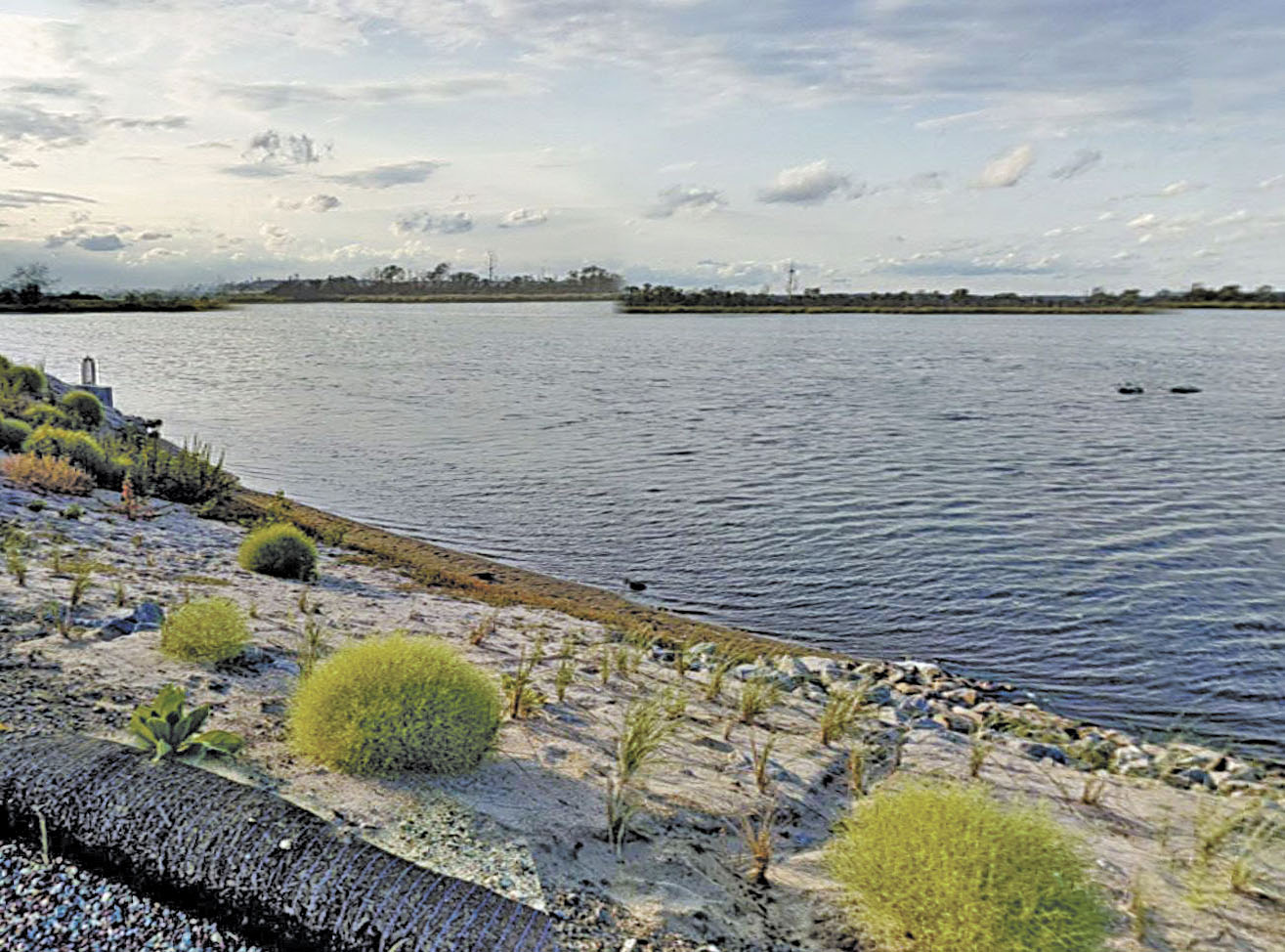 圖為牙買加灣野生動物保護區。 圖片來源：谷歌地圖