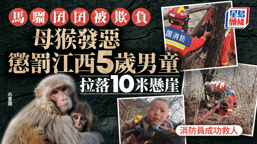 江西男童逗玩幼猴 護子母猴將其拉落10米懸崖