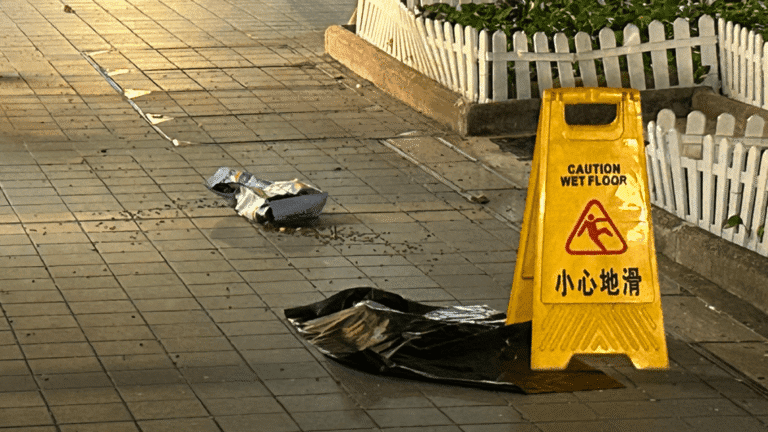 坑口安寧花園行人路發現幼貓屍體 旁邊遺留一袋貓糧