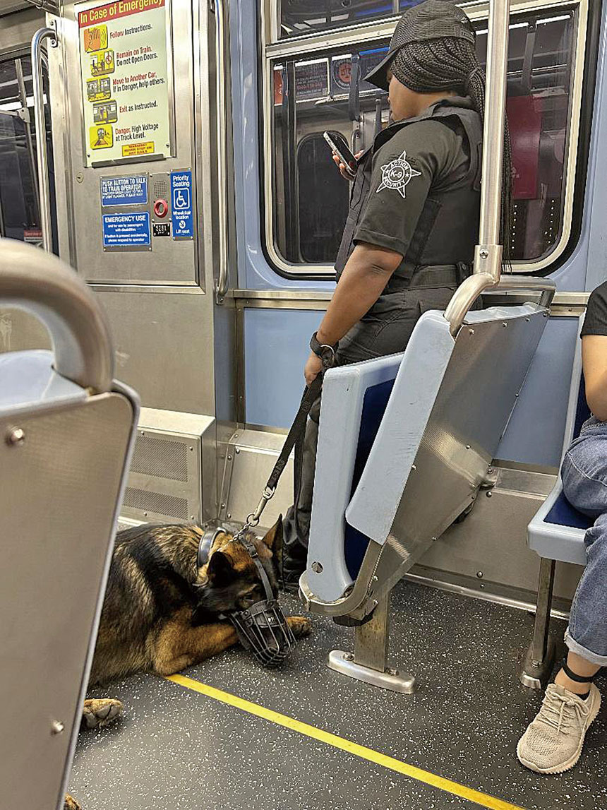 CTA安排警員在地鐵車廂中監視、能起著鎮壓的作用。   梁敏育攝