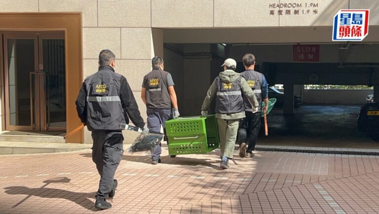 果子狸受困半山住宅冷氣機頂 消防漁護到場後自行脫險