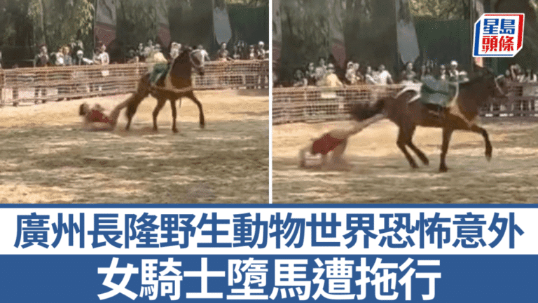 廣州長隆馬術表演發生意外 女演員墮馬被拖行