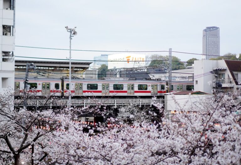 中日關係影響旅遊數據 2月訪日中國遊客減45% 香港旅客增近兩成
