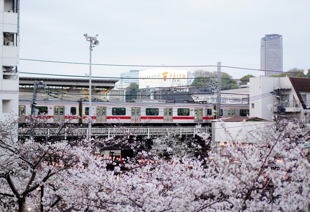 中日關係影響旅遊數據 2月訪日中國遊客減45% 香港旅客增近兩成