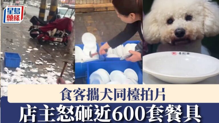 食客攜犬同檯拍片惹衛生疑慮 店主銷毀近600套餐具