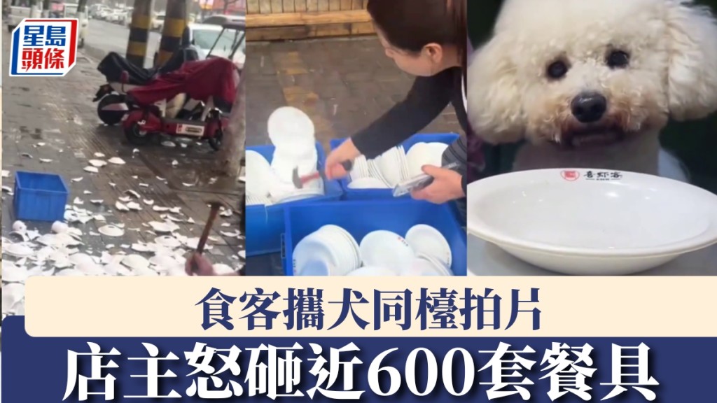 食客攜犬同檯拍片惹衛生疑慮 店主銷毀近600套餐具