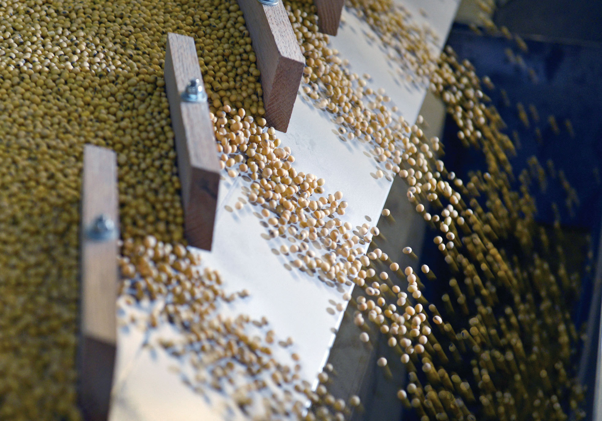 中國海關數據顯示，2月進口美國大豆145萬噸，為6月以來最多。路透社資料圖片