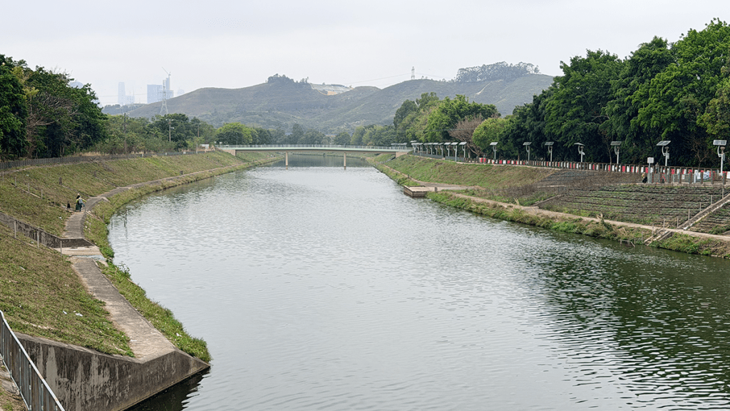 上水梧桐河雙屍案 離異夫婦爭執後先後墮河身亡