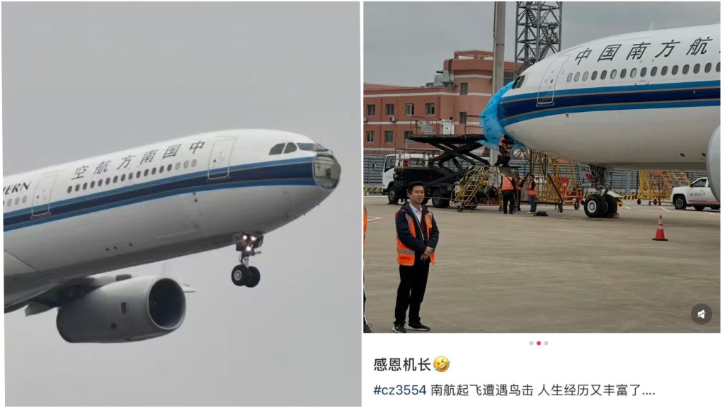 南航上海飛深圳航班起飛後遭鳥擊 雷達罩脫落安全返航
