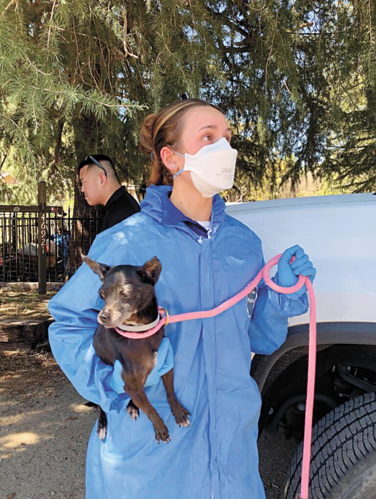 洛縣民宅救出逾三百貓狗飼主抗爭
