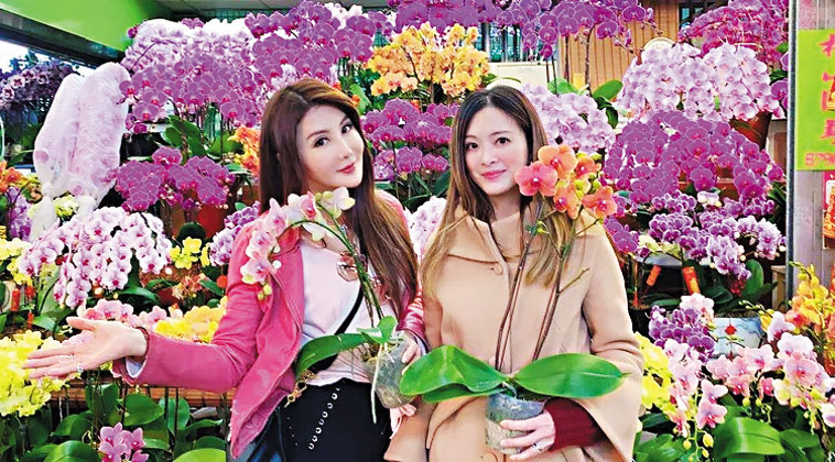 楊麗菁（左）發出與劉真的合照悼念。網上圖片