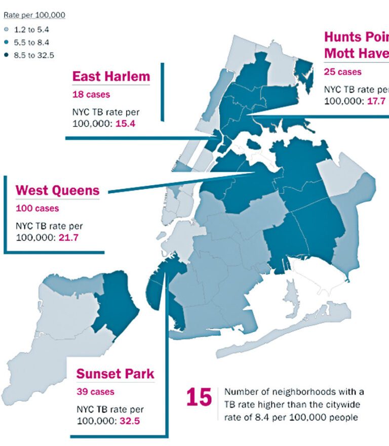 紐約市各地結核病例分布圖。