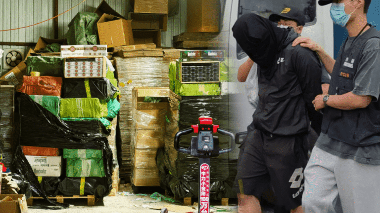 元朗廢車場揭發私煙倉庫 海關檢近二千萬貨拘司機