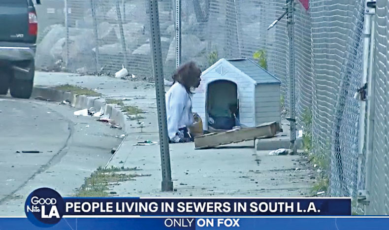 一名遊民從下水道爬出地面。FOX 11電視畫面