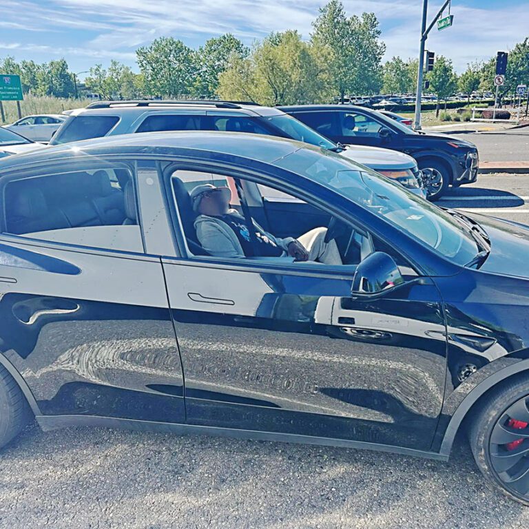 特斯拉司機在車中昏睡。維肯維爾警方