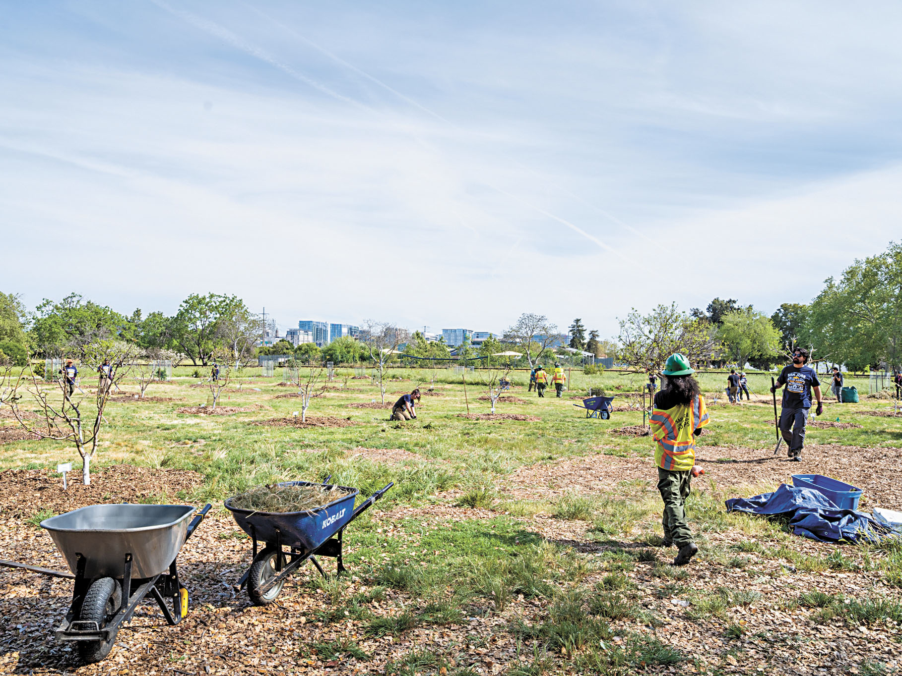 聖荷西市舉辦首屆「服務日」活動，市府員工參與美化社區和公園。市府提供